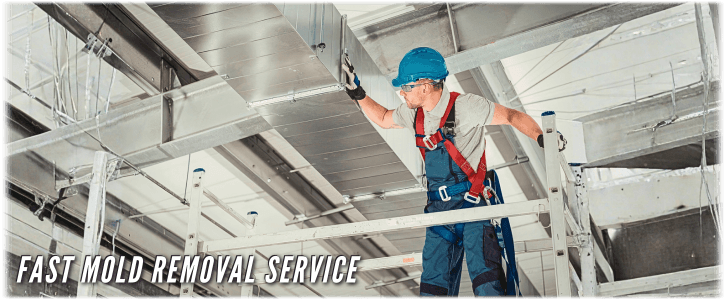 Air Duct Mold Removal in Fort Lauderdale