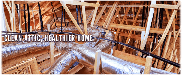 Attic Cleaning Fort Lauderdale
